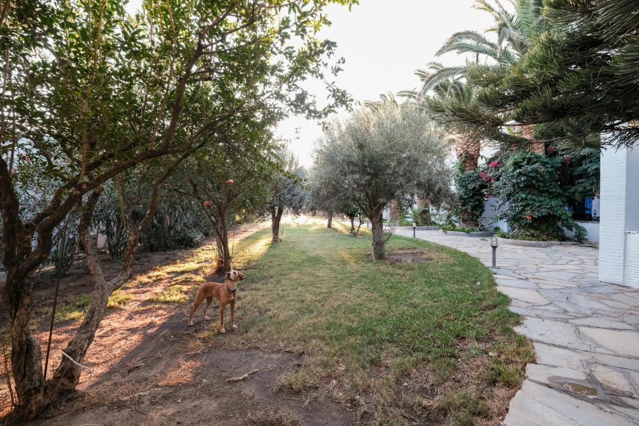 Golden Beach Studios & Suites Tinos Bagian luar foto