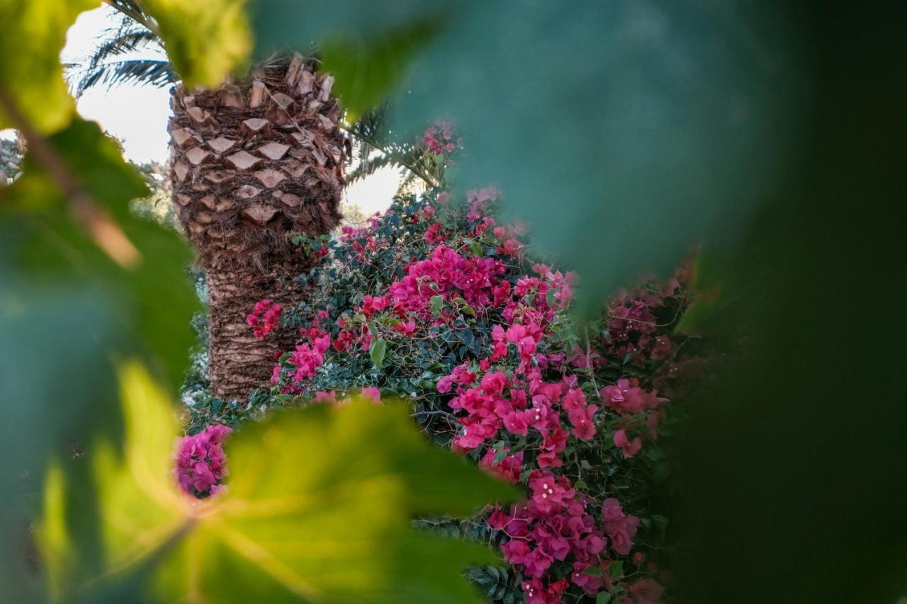 Golden Beach Studios & Suites Tinos Bagian luar foto