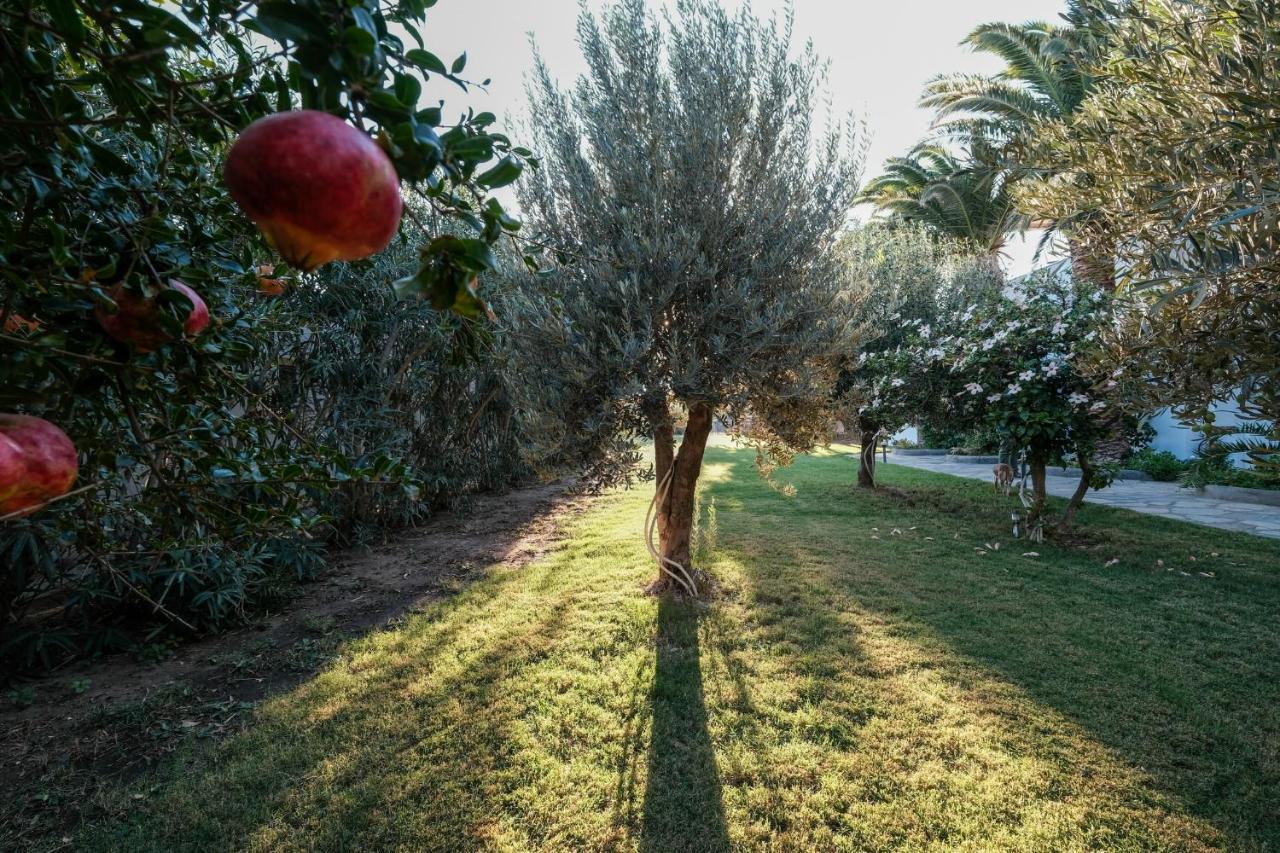 Golden Beach Studios & Suites Tinos Bagian luar foto