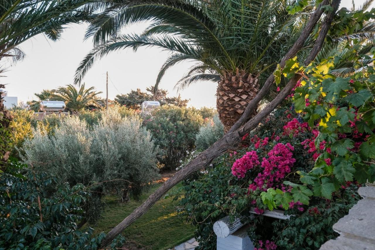 Golden Beach Studios & Suites Tinos Bagian luar foto