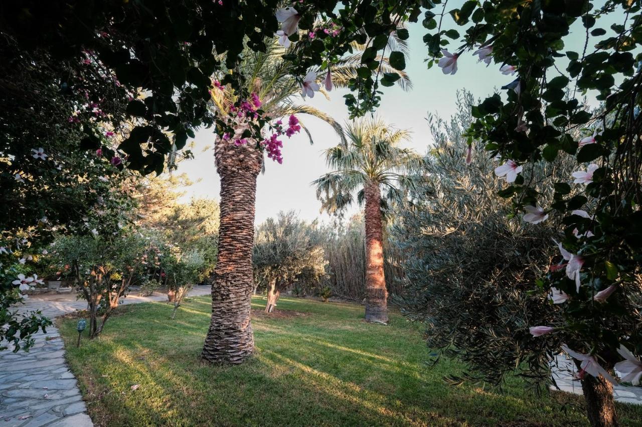 Golden Beach Studios & Suites Tinos Bagian luar foto